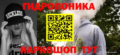 спиды Владимир
