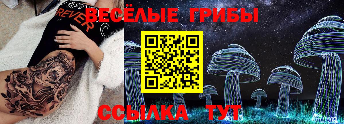 цены наркотик  Псилоцибиновые грибы Psilocybine cubensis  Вход с VPN  Ялуторовск 