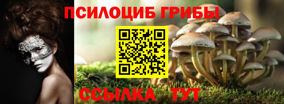 Галлюциногенные грибы Psilocybine cubensis Ялуторовск